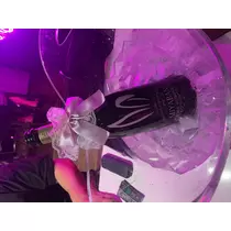 大尻 桃