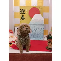 仁華