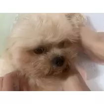むつみ