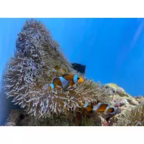 あーだこーだそら