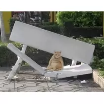 ゆん