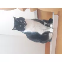 ひかる