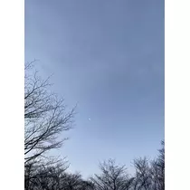 もも