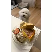 ミナミ