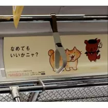 紫音