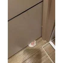 桐島 りゅう