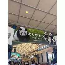 佐野 エマ