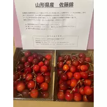 諸星 海