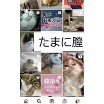 紫音