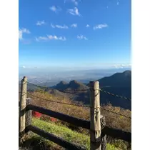 はる