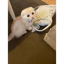 るな