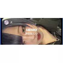 ぽめ・らにあん
