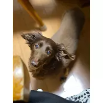 みき