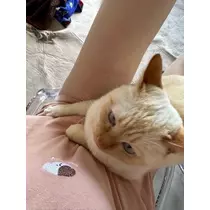 足立 はな