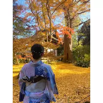 おとは