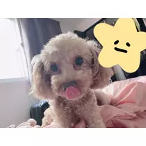 高瀬 美羽
