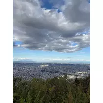 芹沢 莉瀬