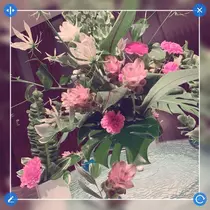 天癒 いちご