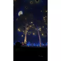 かびるんるんさわ