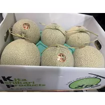諸星 海