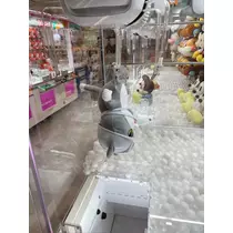 あんな