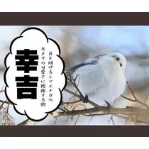 ひな