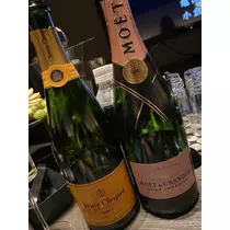 白石 愛莉