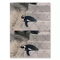 はづき