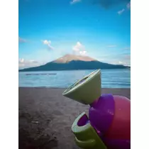 司