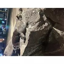 ゆうり