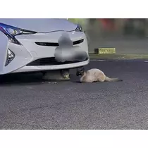 エミ (スタッフ)