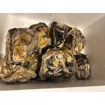 美月