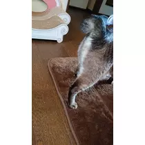 ひな