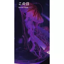 七星 夏純