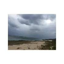 蓮見 リア