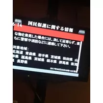 蓮見 リア