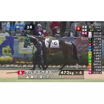 佐倉 里緒