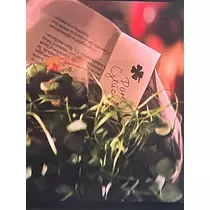 緑 四葉