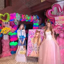 一条 葵