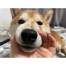 みり