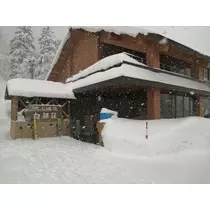 あや