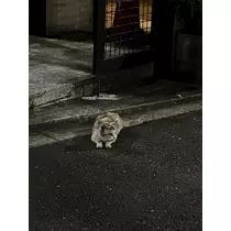 みや