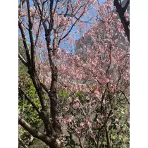 なぎさ