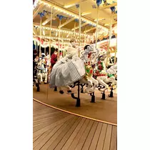 姫花