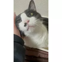 愛望