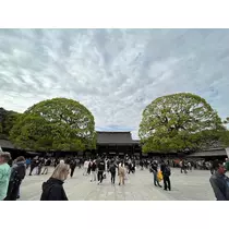 綾瀬 優