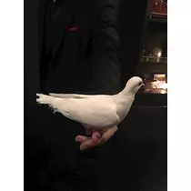 あきな
