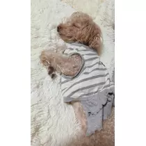 高瀬 美羽