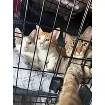 ゆう