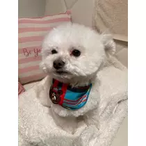 夏樹 あや